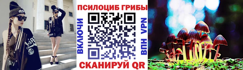 Купить где  Зарайск  Галлюциногенные грибы ЛСД 